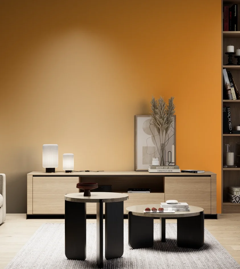 P10_SNIEZKA_salon_05_zimne_GREY_RAL1037
