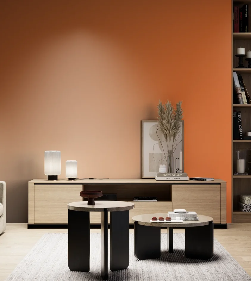 P10_SNIEZKA_salon_05_zimne_GREY_RAL2011