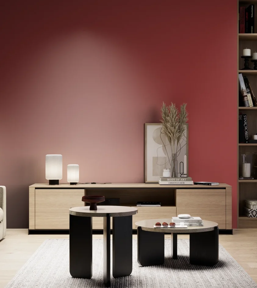 P10_SNIEZKA_salon_05_zimne_GREY_RAL3002