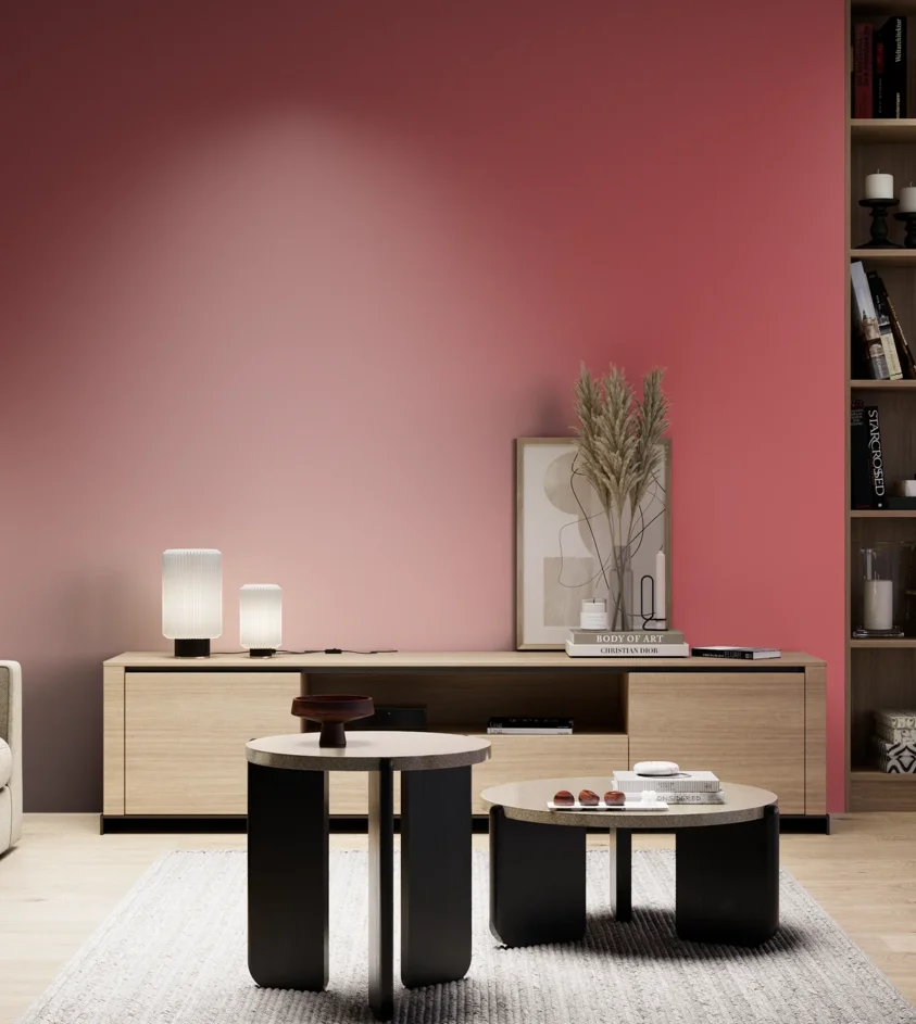 P10_SNIEZKA_salon_05_zimne_GREY_RAL3017