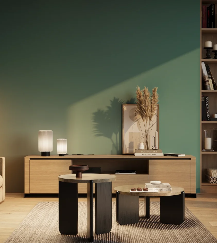 P10_SNIEZKA_salon_03_wieczor_GREY_RAL5018