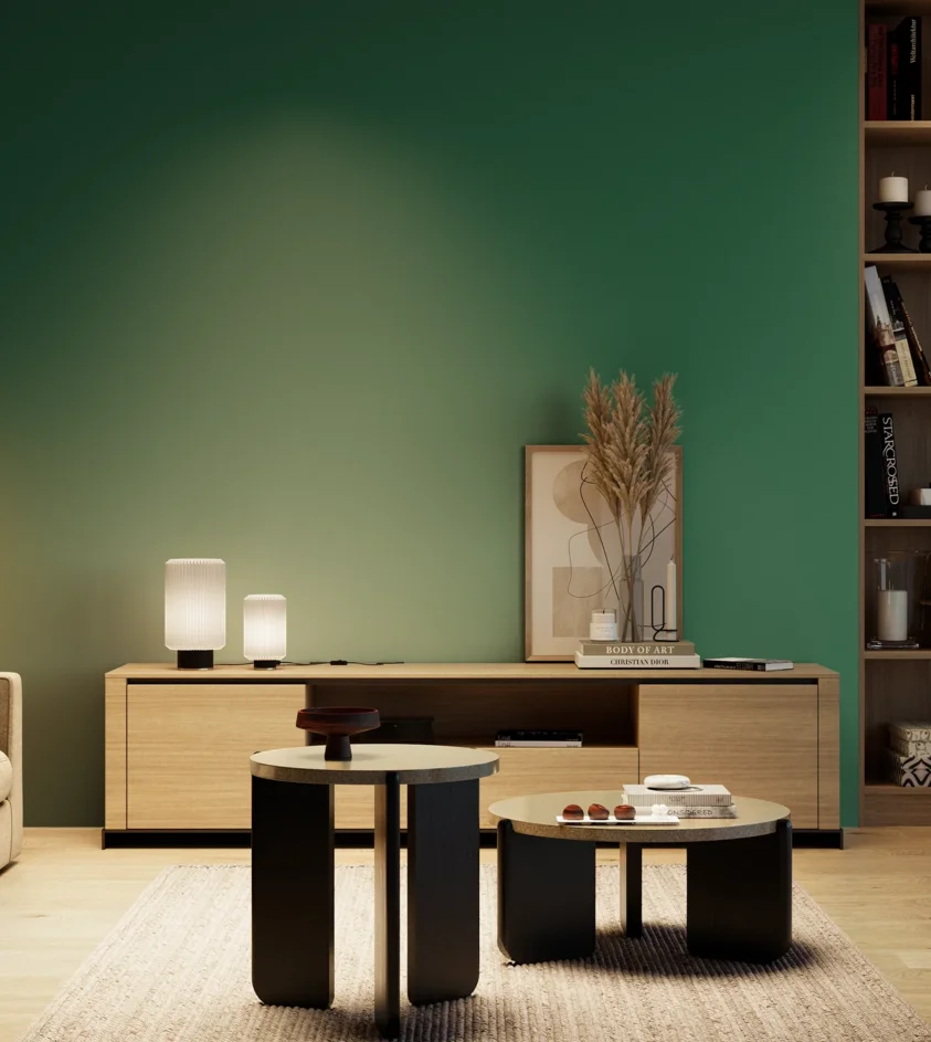 P10_SNIEZKA_salon_04_cieple_GREY_RAL6016