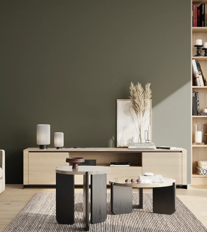 P10_SNIEZKA_salon_02_poludnie_GREY_RAL6020