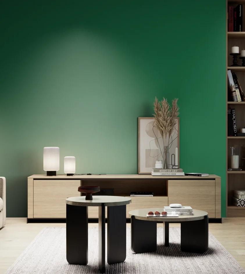 P10_SNIEZKA_salon_05_zimne_GREY_RAL6029