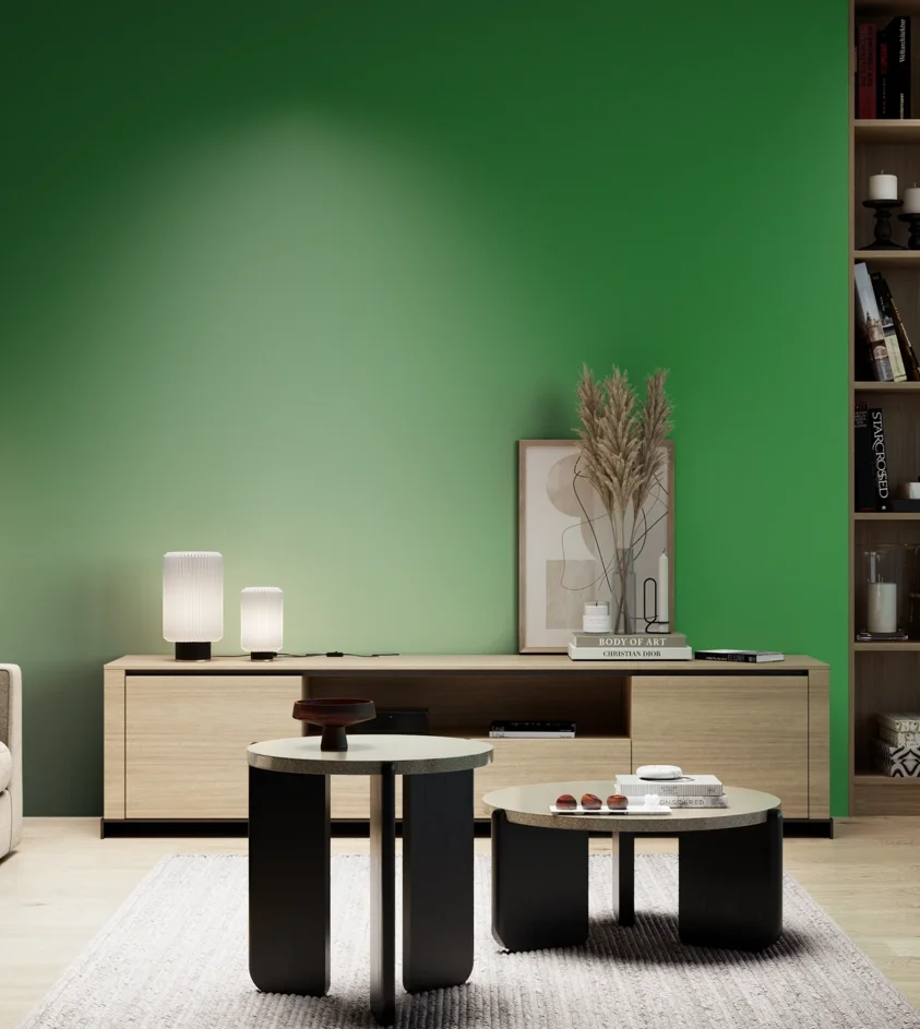 P10_SNIEZKA_salon_05_zimne_GREY_RAL6037
