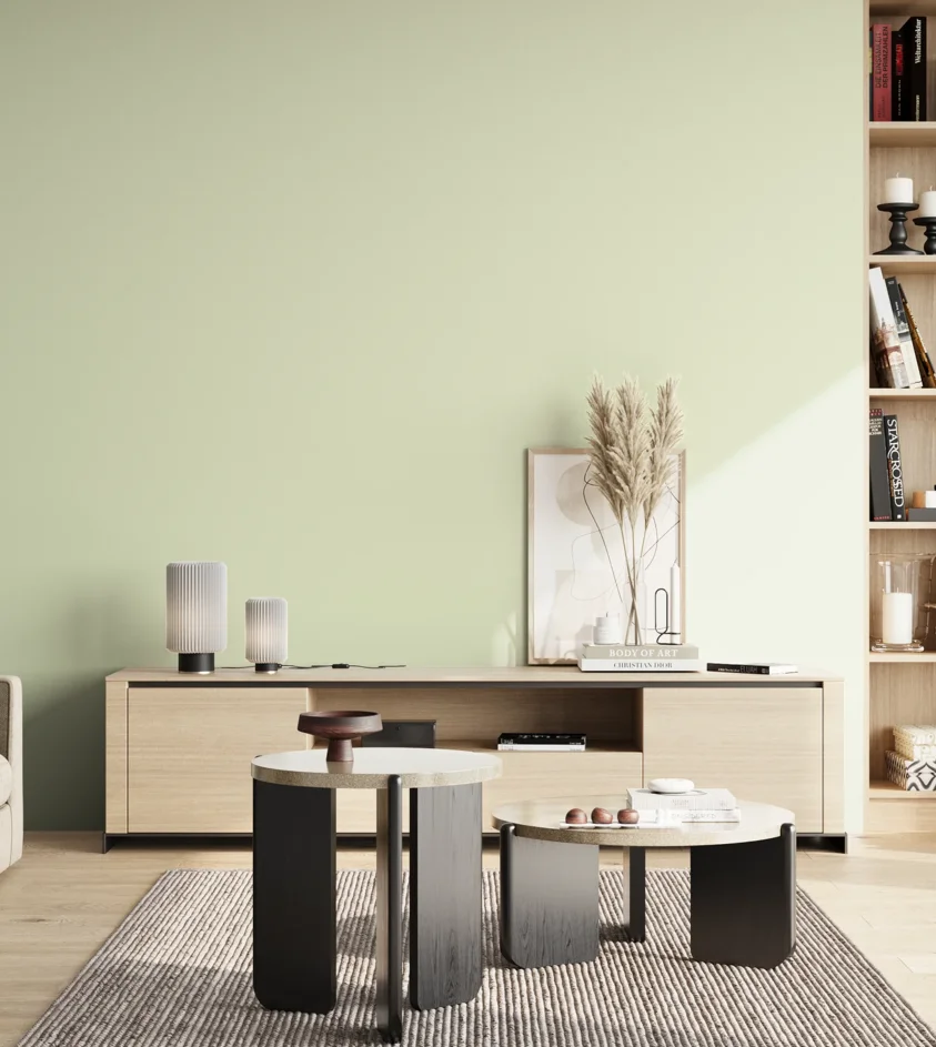 P10_SNIEZKA_salon_02_poludnie_GREY_S0510-G40Y