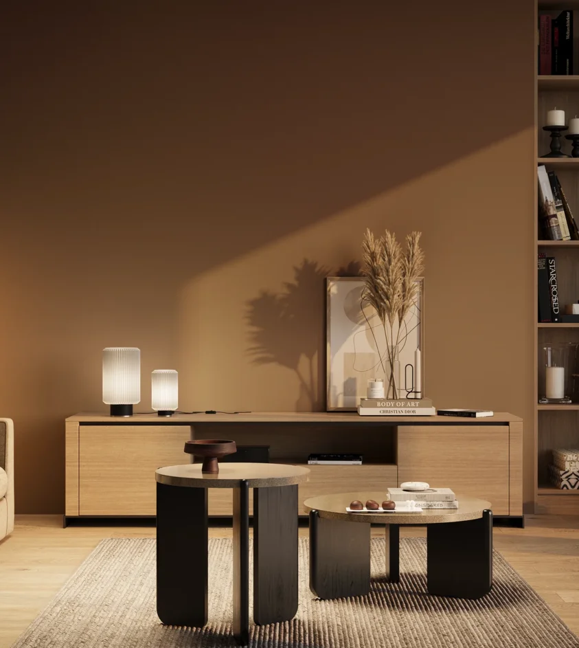 P10_SNIEZKA_salon_03_wieczor_GREY_RAL8024
