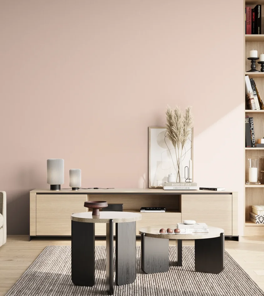 P10_SNIEZKA_salon_02_poludnie_GREY_S0510-Y90R