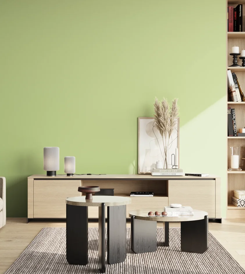 P10_SNIEZKA_salon_02_poludnie_GREY_S0530-G40Y