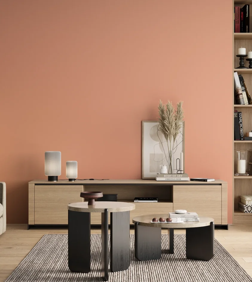 P10_SNIEZKA_salon_00_neutral_GREY_S0530-Y70R