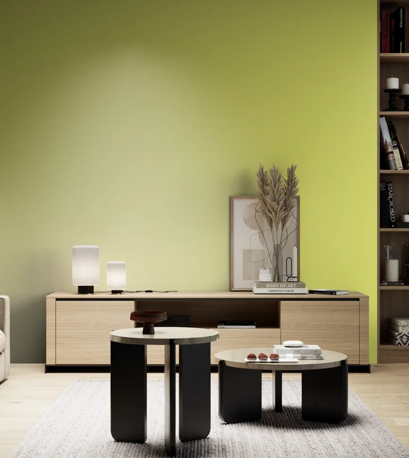 P10_SNIEZKA_salon_05_zimne_GREY_S0550-G70Y
