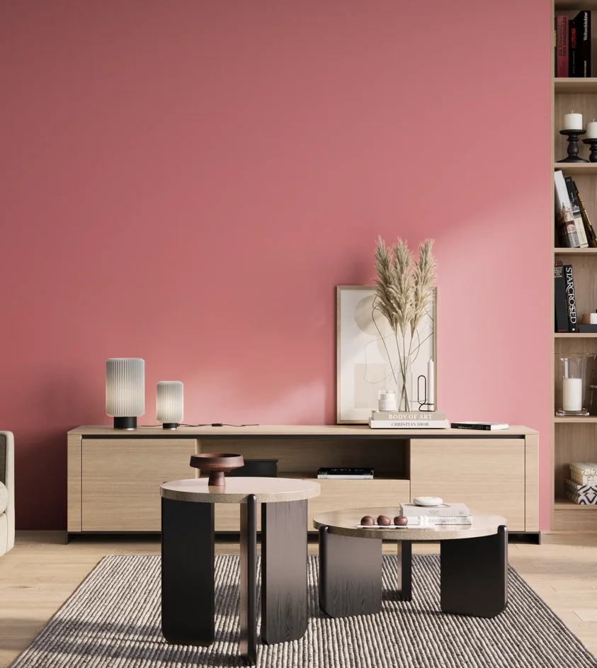 P10_SNIEZKA_salon_01_poranek_GREY_S0550-R10B