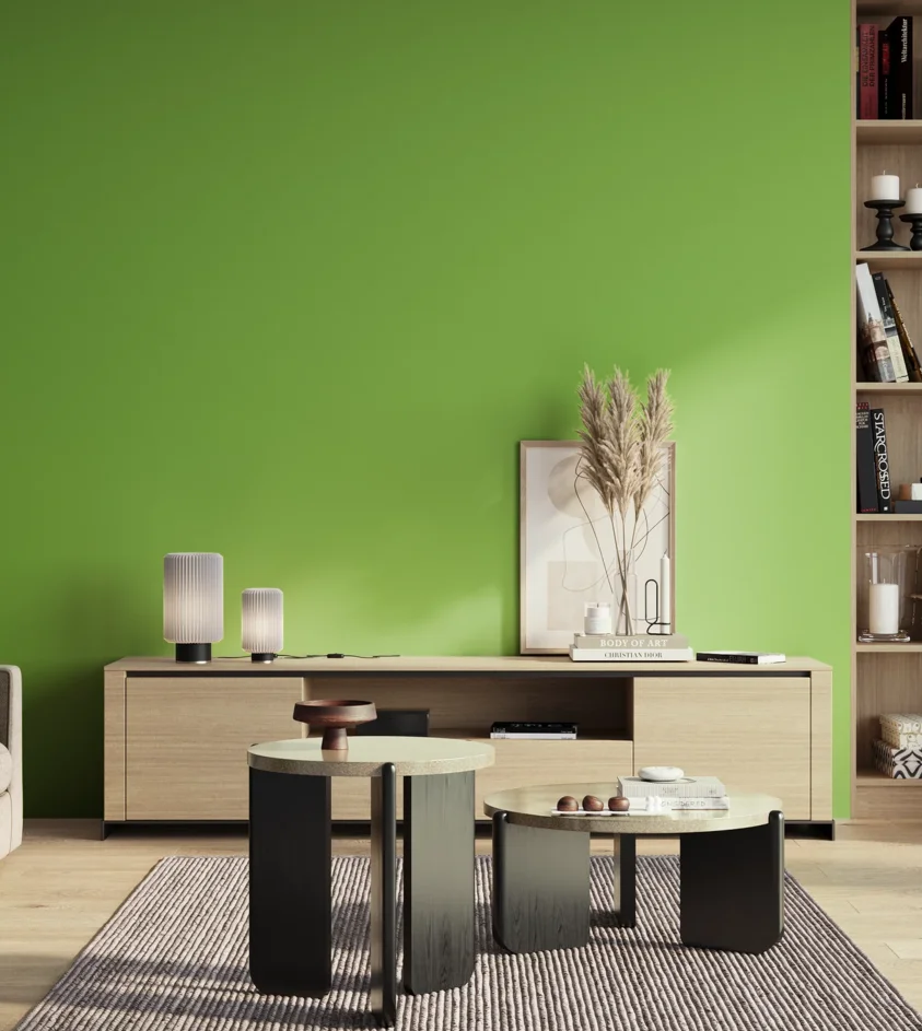 P10_SNIEZKA_salon_01_poranek_GREY_S0570-G30Y