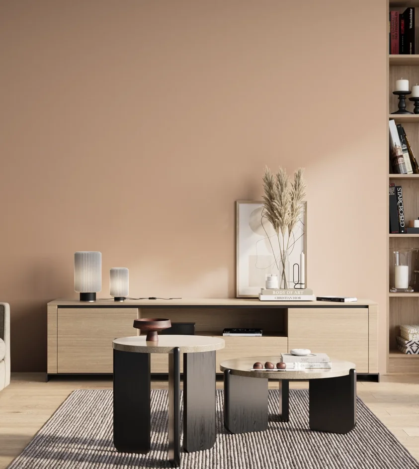 P10_SNIEZKA_salon_01_poranek_GREY_S1015-Y60R