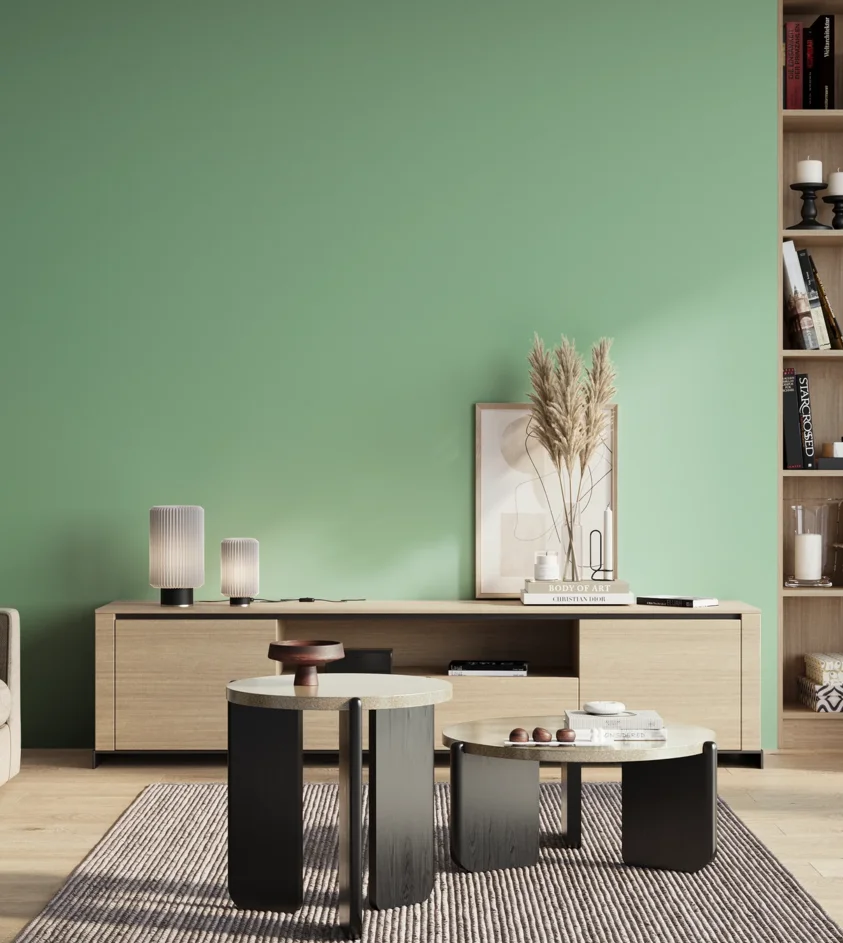 P10_SNIEZKA_salon_01_poranek_GREY_S1030-G