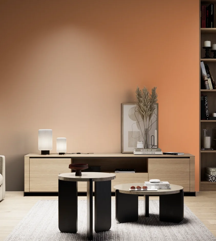 P10_SNIEZKA_salon_05_zimne_GREY_S1050-Y50R