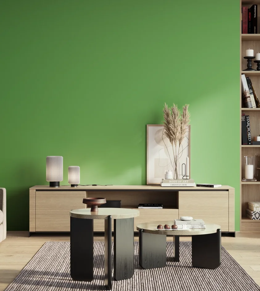 P10_SNIEZKA_salon_01_poranek_GREY_S1060-G20Y