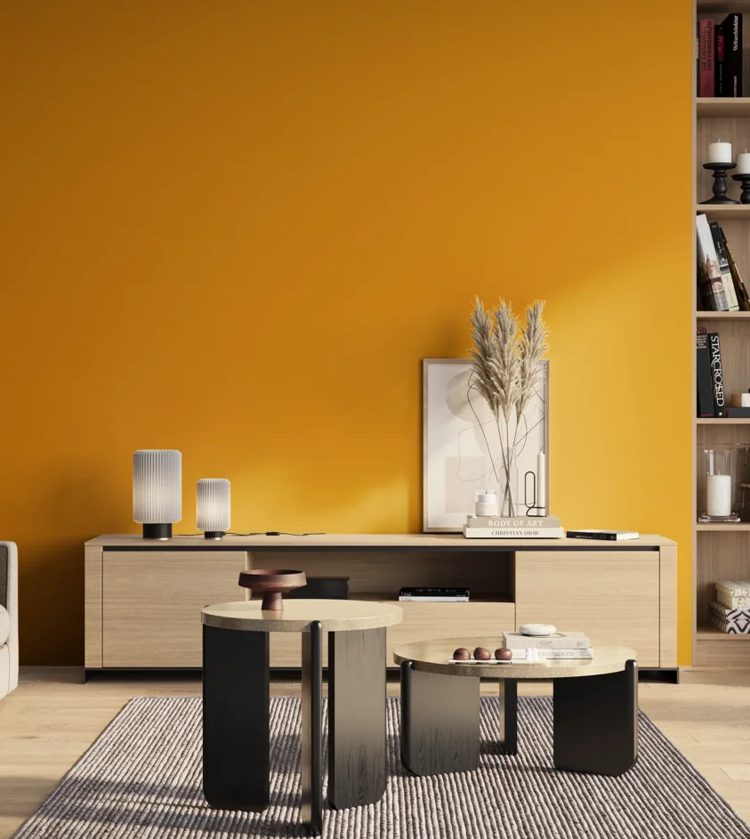 P10_SNIEZKA_salon_01_poranek_GREY_S1080-Y20R