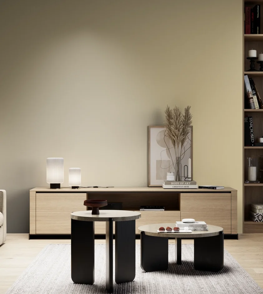 P10_SNIEZKA_salon_05_zimne_GREY_S1515-Y10R