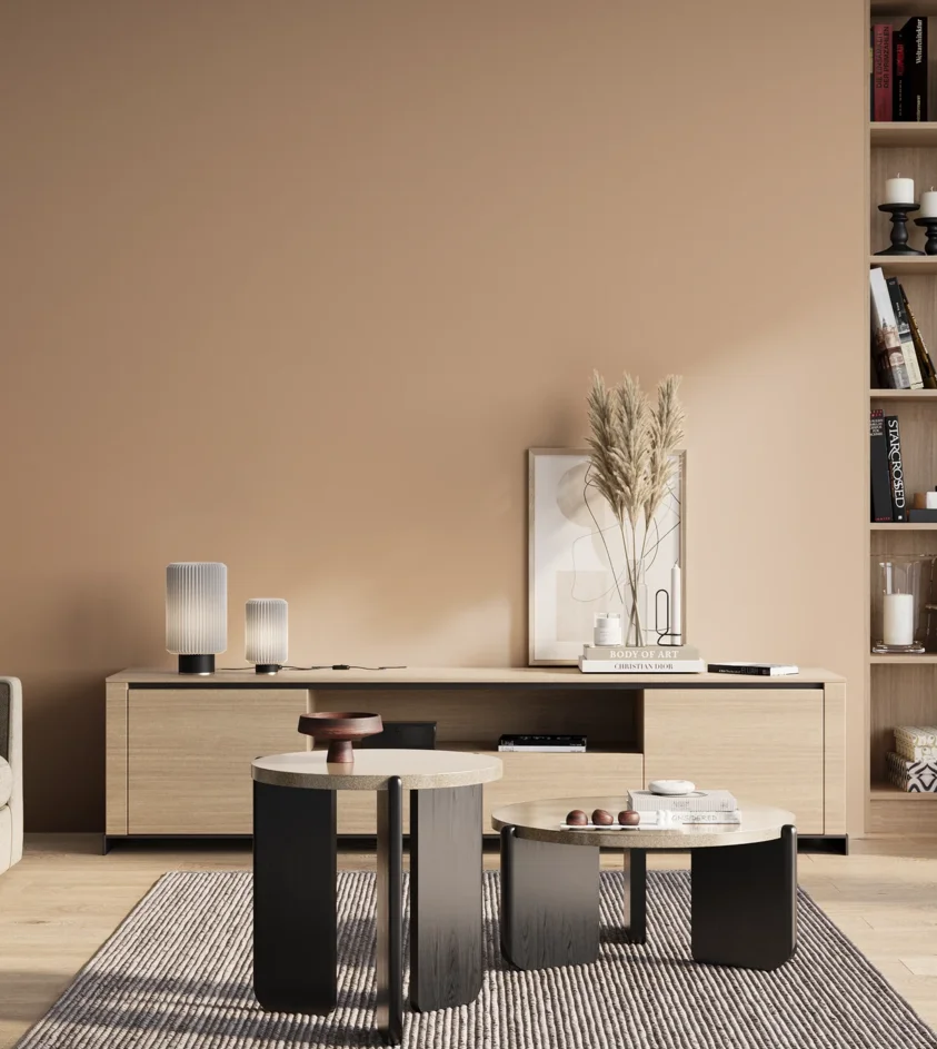 P10_SNIEZKA_salon_01_poranek_GREY_S1515-Y50R