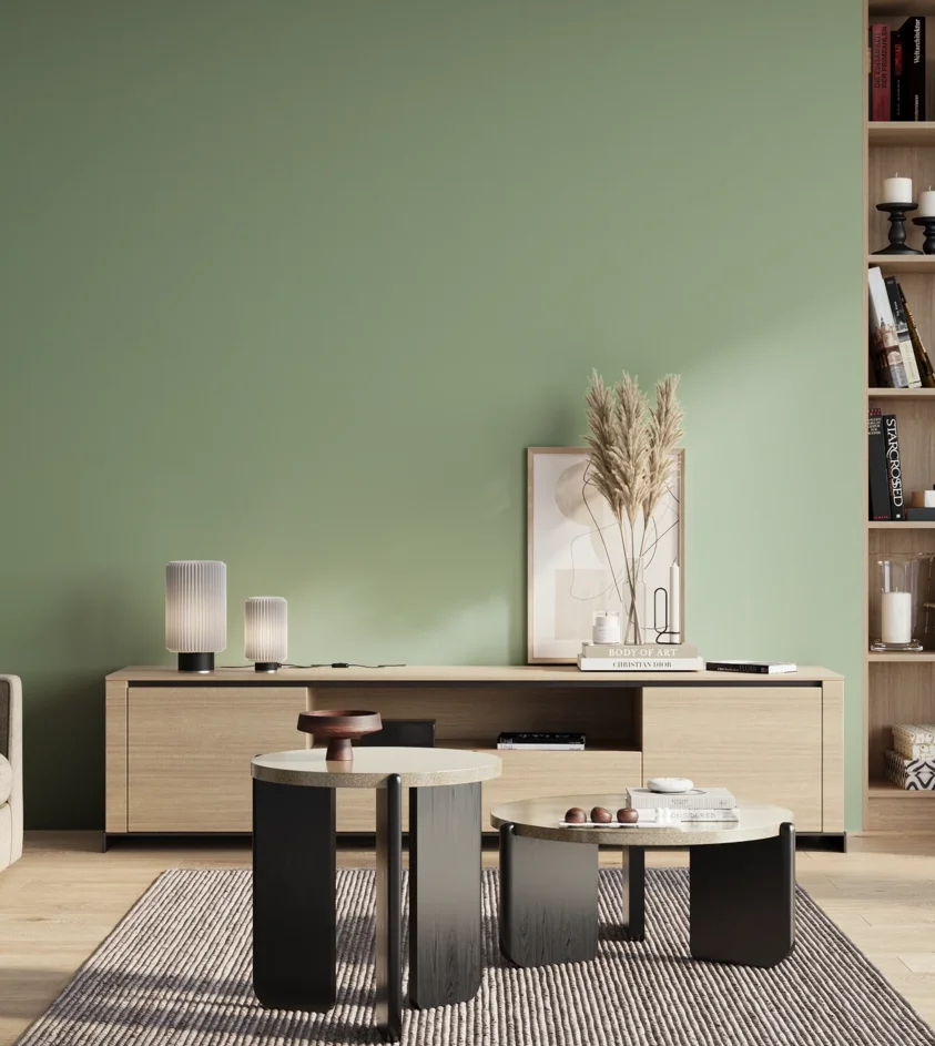P10_SNIEZKA_salon_01_poranek_GREY_S2020-G10Y