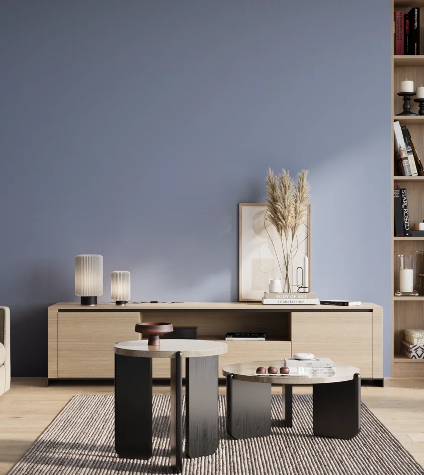 P10_SNIEZKA_salon_01_poranek_GREY_S2030-R80B