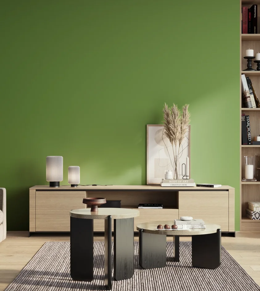 P10_SNIEZKA_salon_01_poranek_GREY_S2060-G30Y