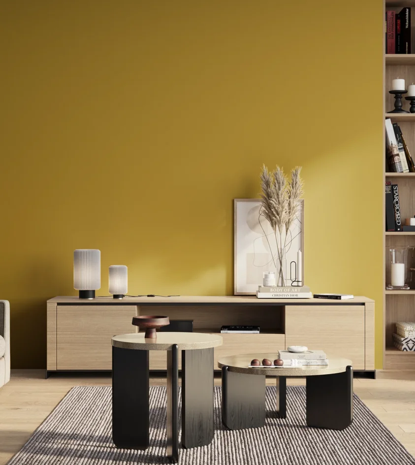 P10_SNIEZKA_salon_01_poranek_GREY_S2060-Y