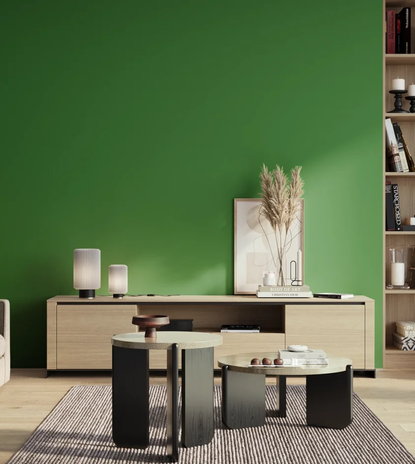 P10_SNIEZKA_salon_01_poranek_GREY_S2570-G20Y