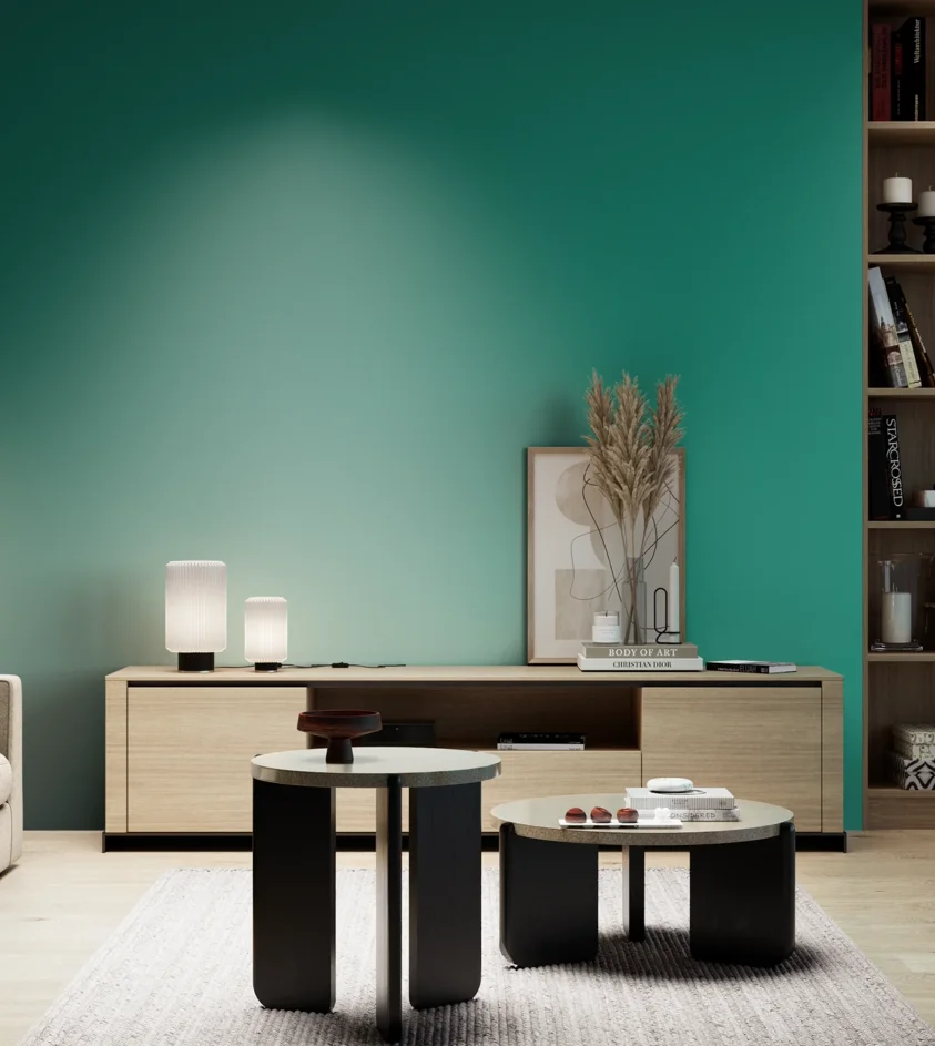 P10_SNIEZKA_salon_05_zimne_GREY_S3050-B80G