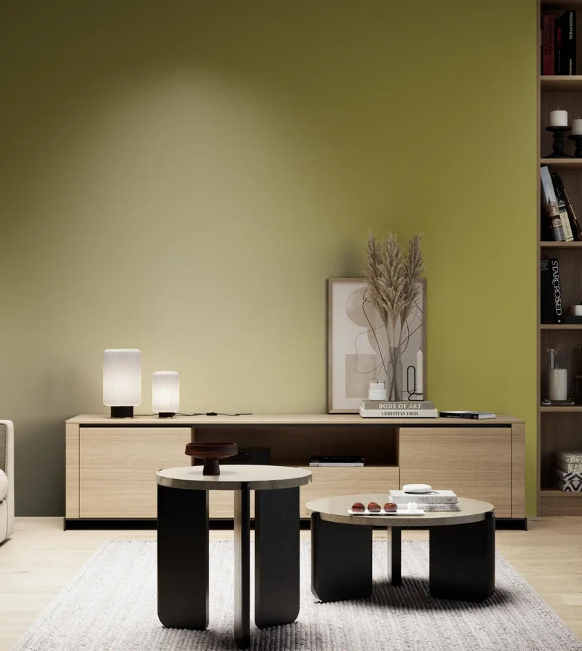 P10_SNIEZKA_salon_05_zimne_GREY_S3050-G80Y