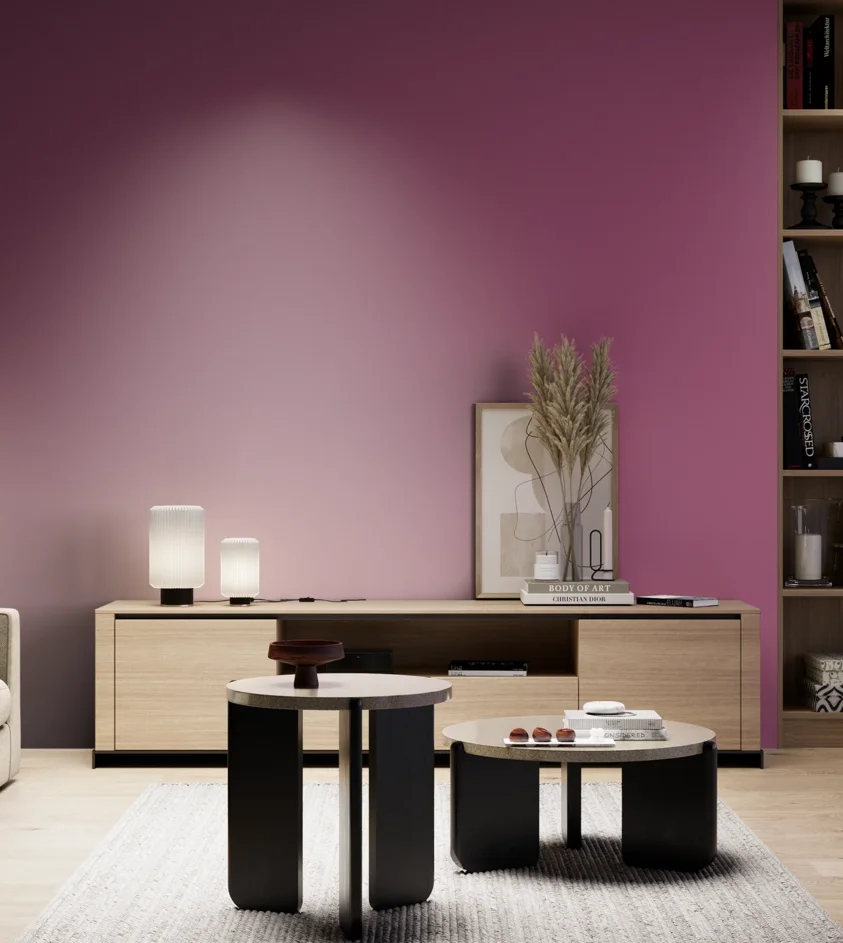 P10_SNIEZKA_salon_05_zimne_GREY_S3050-R30B