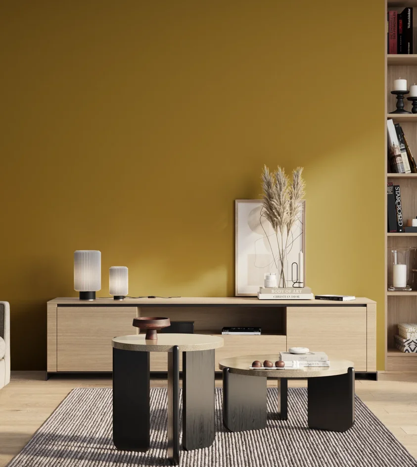 P10_SNIEZKA_salon_01_poranek_GREY_S3560-Y