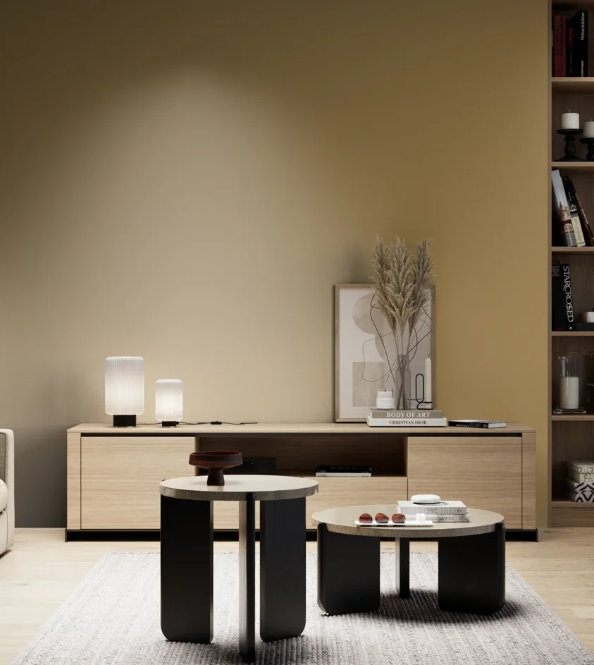 P10_SNIEZKA_salon_05_zimne_GREY_S4030-Y10R