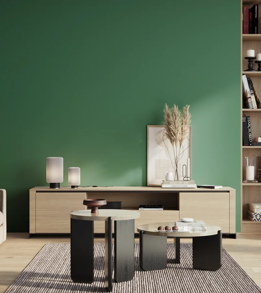 P10_SNIEZKA_salon_01_poranek_GREY_S4040-G