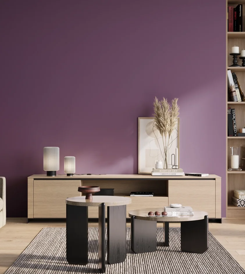 P10_SNIEZKA_salon_01_poranek_GREY_S4040-R50B