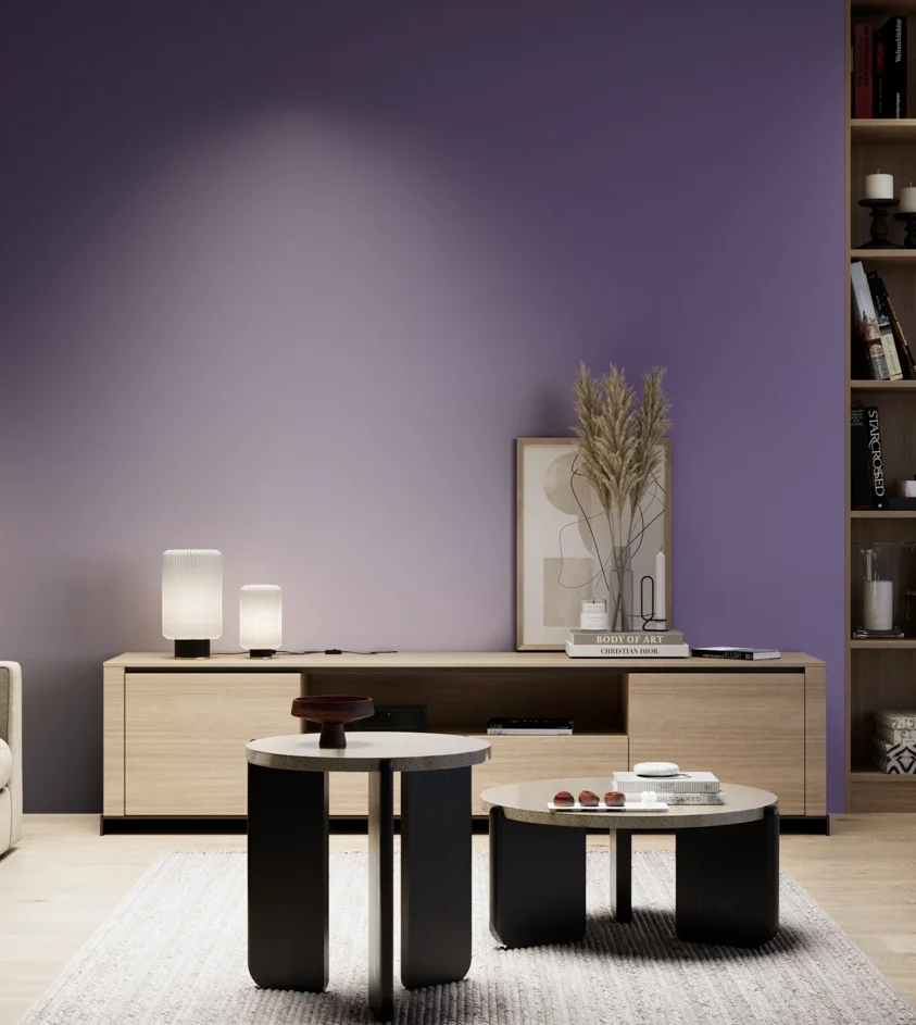 P10_SNIEZKA_salon_05_zimne_GREY_S4040-R60B