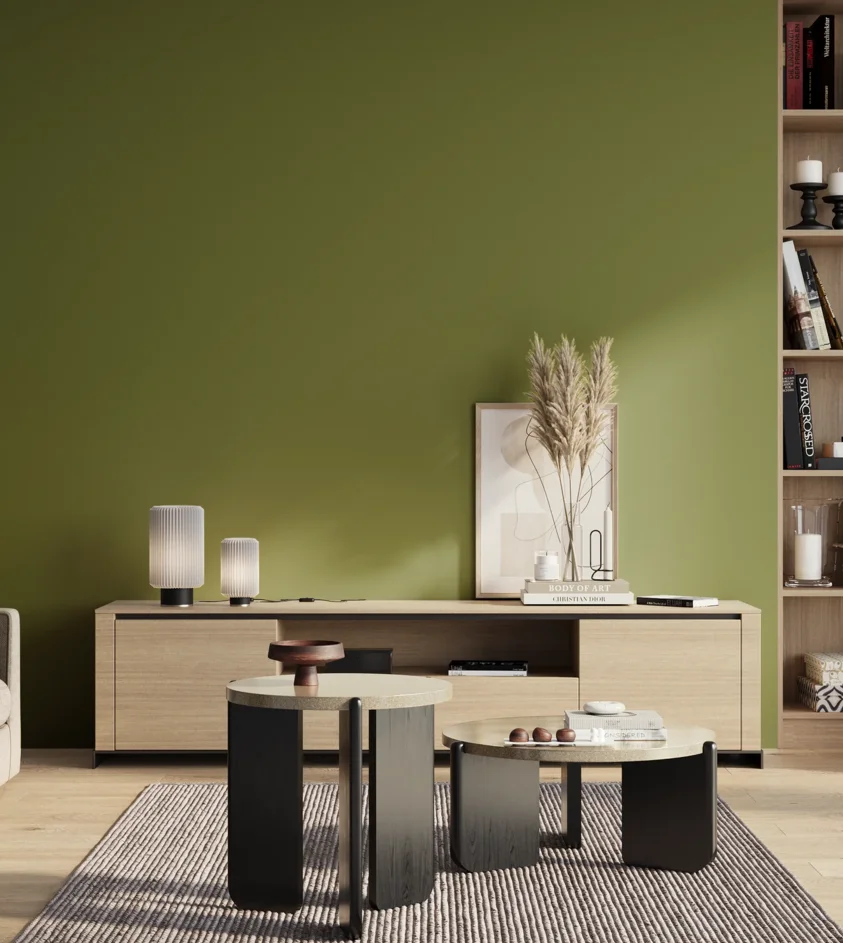P10_SNIEZKA_salon_01_poranek_GREY_S4050-G50Y