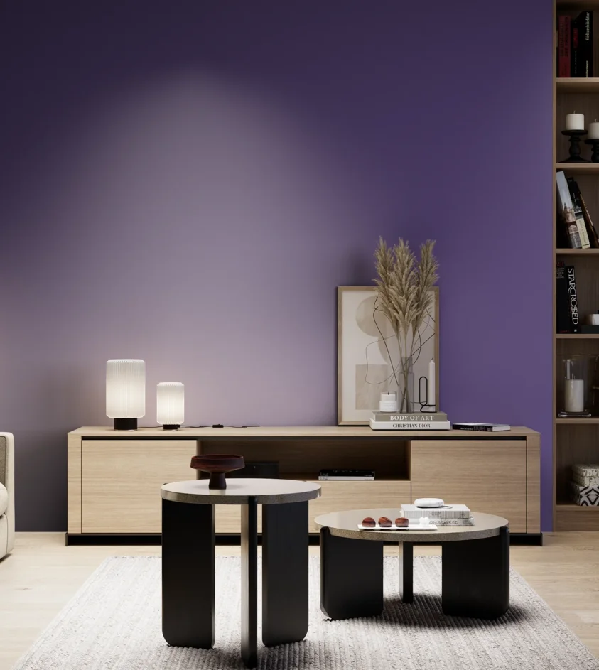 P10_SNIEZKA_salon_05_zimne_GREY_S4050-R60B