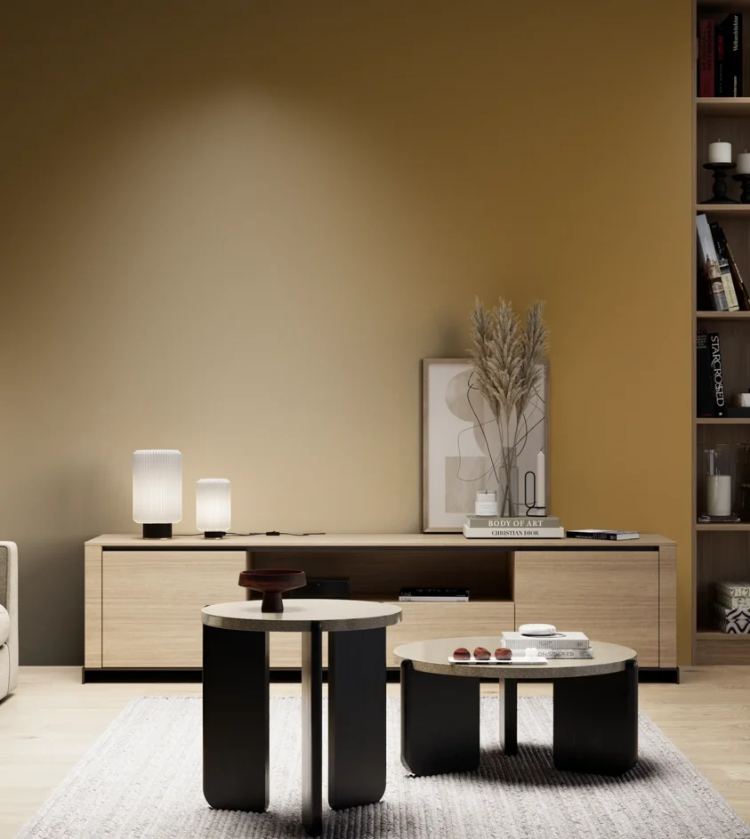 P10_SNIEZKA_salon_05_zimne_GREY_S4050-Y10R