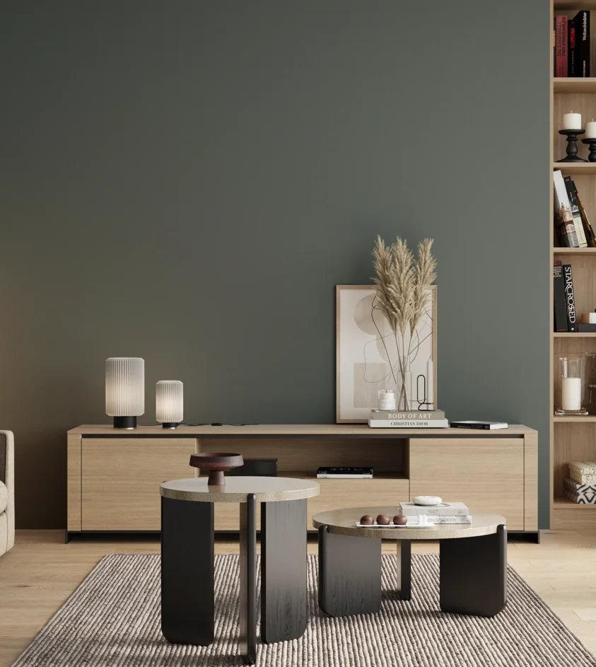 P10_SNIEZKA_salon_00_neutral_GREY_S6010-B50G