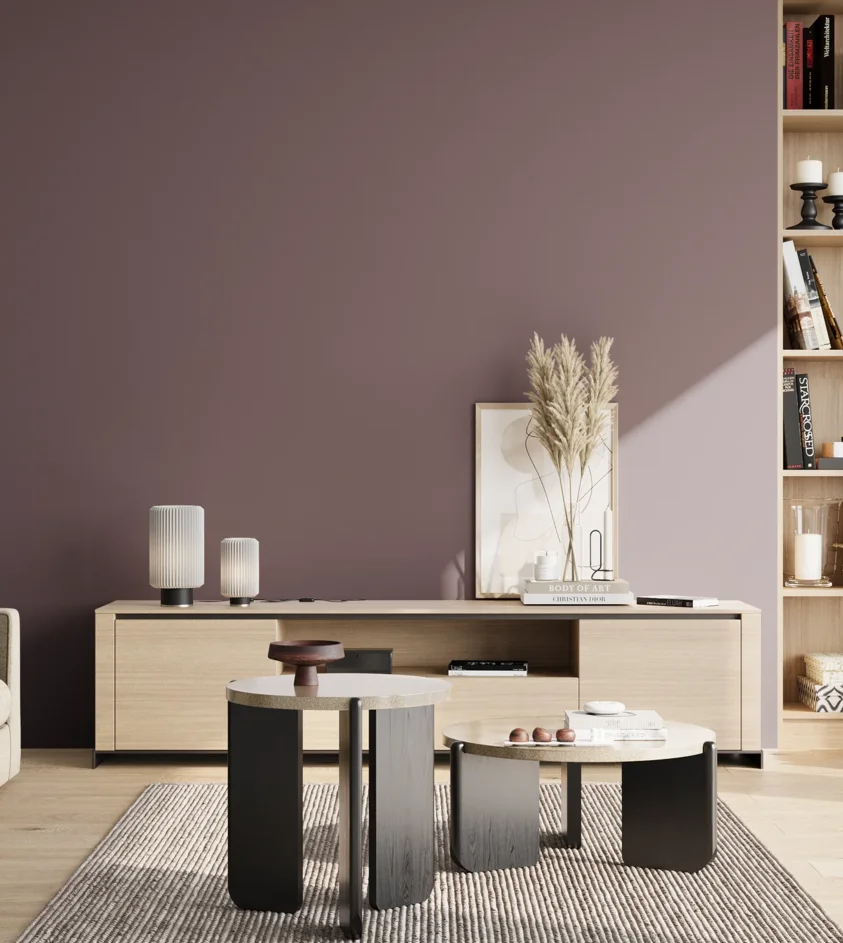 P10_SNIEZKA_salon_02_poludnie_GREY_S6010-R30B