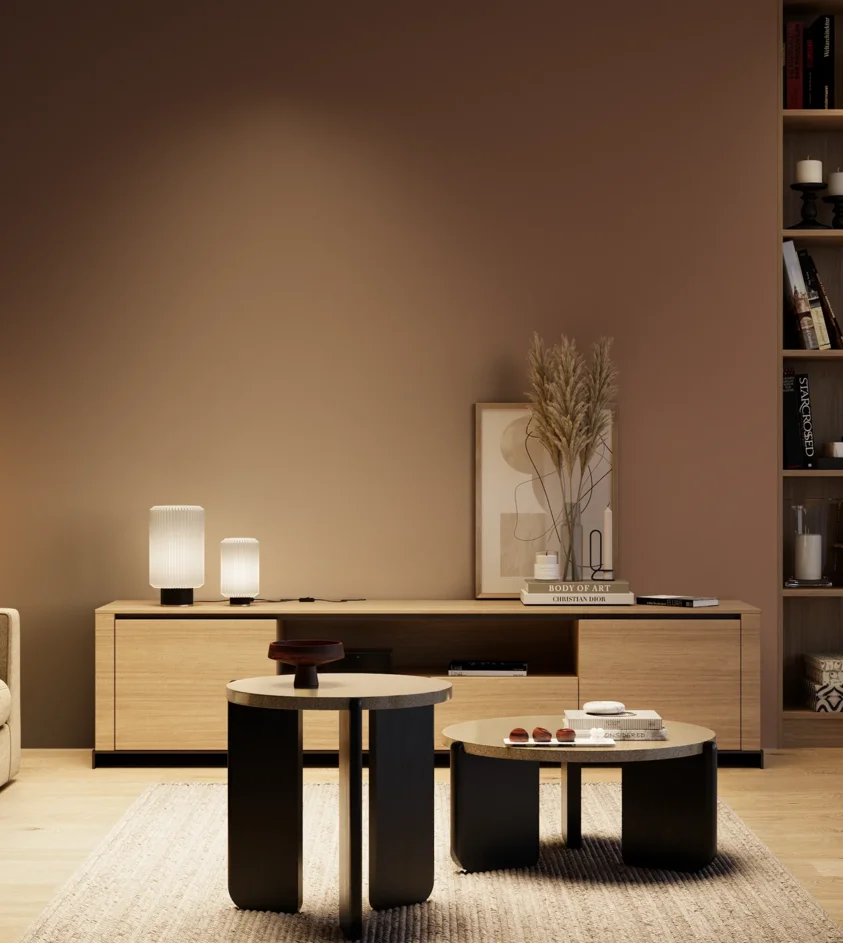 P10_SNIEZKA_salon_04_cieple_GREY_S6020-Y70R