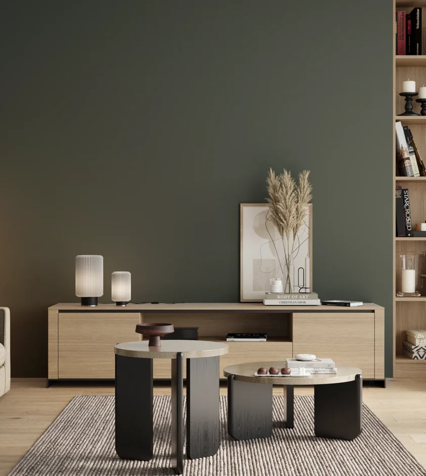 P10_SNIEZKA_salon_00_neutral_GREY_S7010-B90G