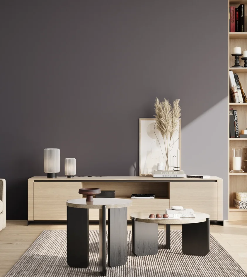 P10_SNIEZKA_salon_02_poludnie_GREY_S7010-R70B
