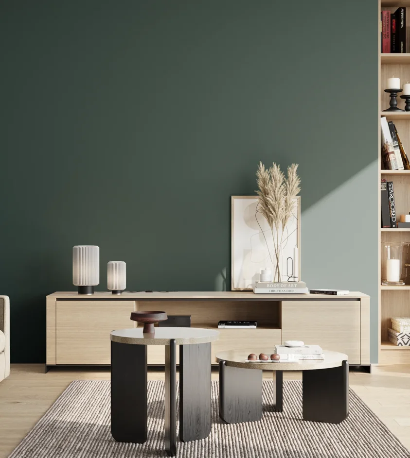 P10_SNIEZKA_salon_02_poludnie_GREY_S7020-B50G