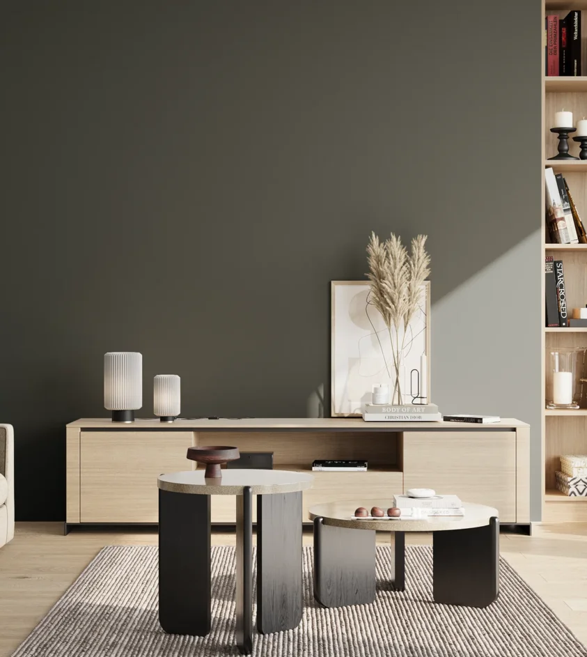 P10_SNIEZKA_salon_02_poludnie_GREY_S8005-B80G