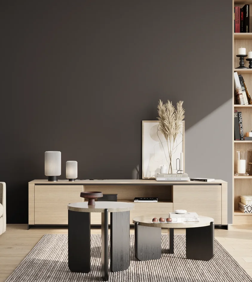 P10_SNIEZKA_salon_02_poludnie_GREY_S8505-R80B