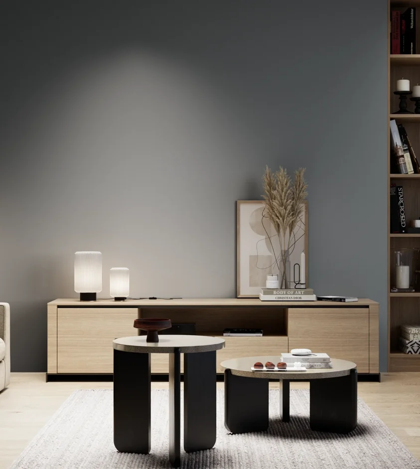 P10_SNIEZKA_salon_05_zimne_GREY_S6005-B