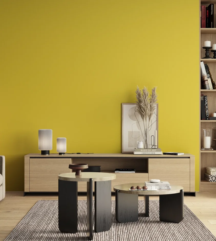 P10_SNIEZKA_salon_00_neutral_GREY_RAL1016